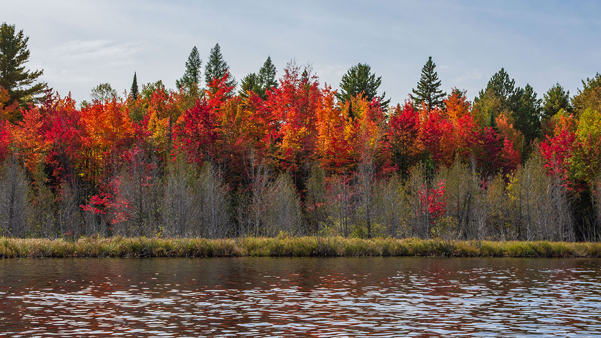 Episode #2011 A Fall Fantastic