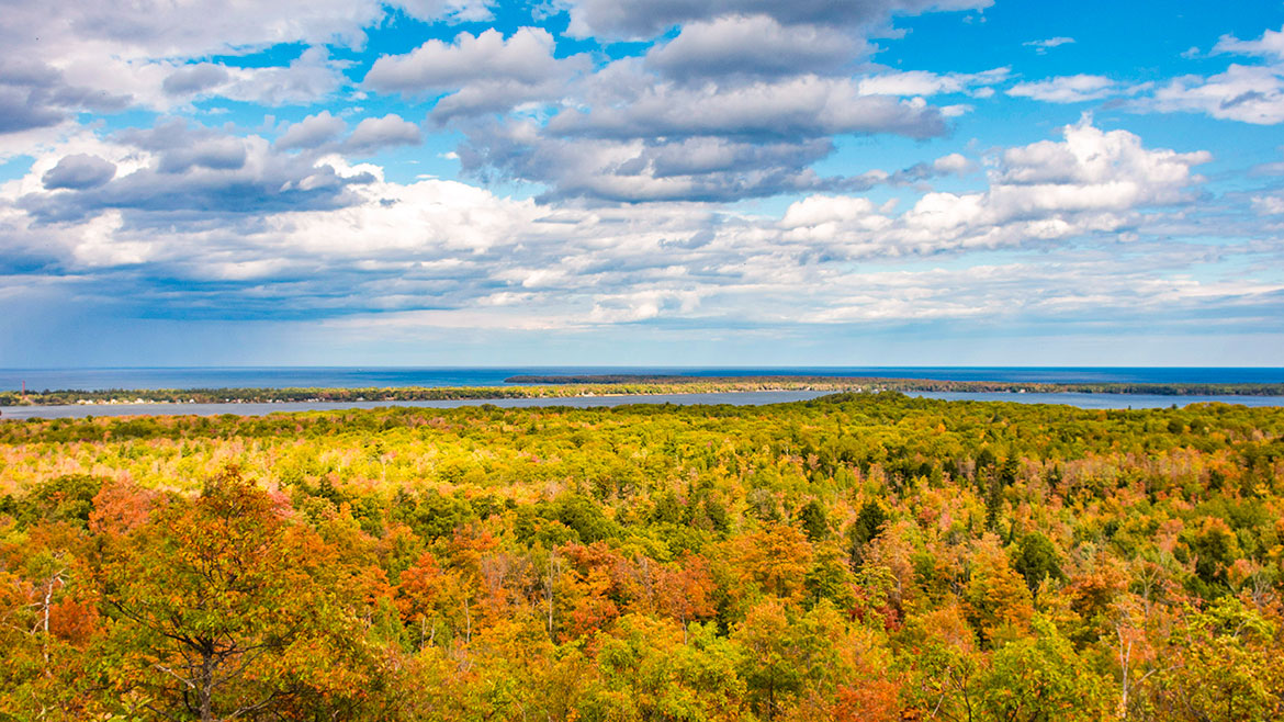 Episode #2110 Beauty of Fall UP