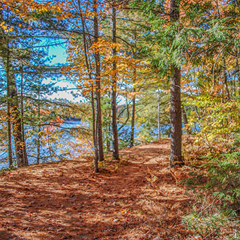 Colwell Lake Trail