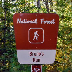 Brunos Run