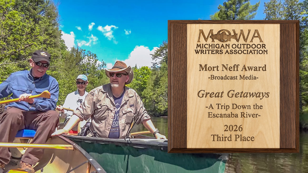 MOWA Award