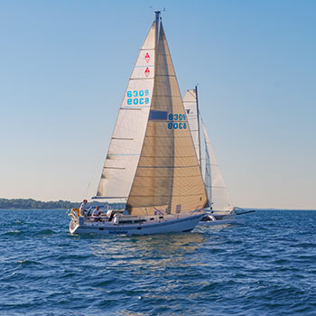 Sailboat Races