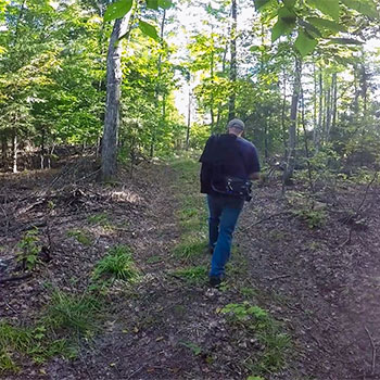 Ashford Lake Pathway