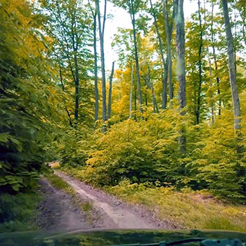 Hiawatha National Forest