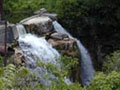 Jones Falls Gallery