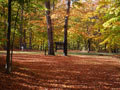 Indian Lake State Park Gallery