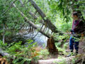 Montreal River Hike Gallery 2