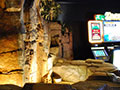 Kewadin Casino Photo Gallery