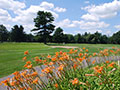 Pine View Golf Photo Gallery