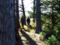 Rifle River Rec Area II