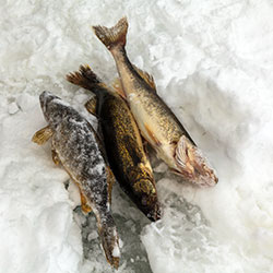 Ice Fishing