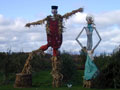 Farm Markets Gallery