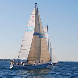 Sailboat Races