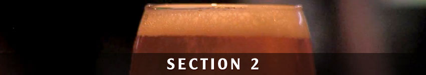 Section 2