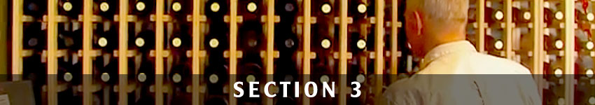 Section 3